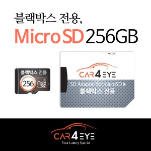 MicroSD [256GB]